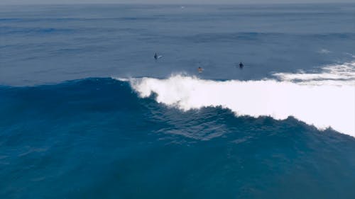 Los Surfistas Esperan Que Las Olas Cabalguen En El Mar