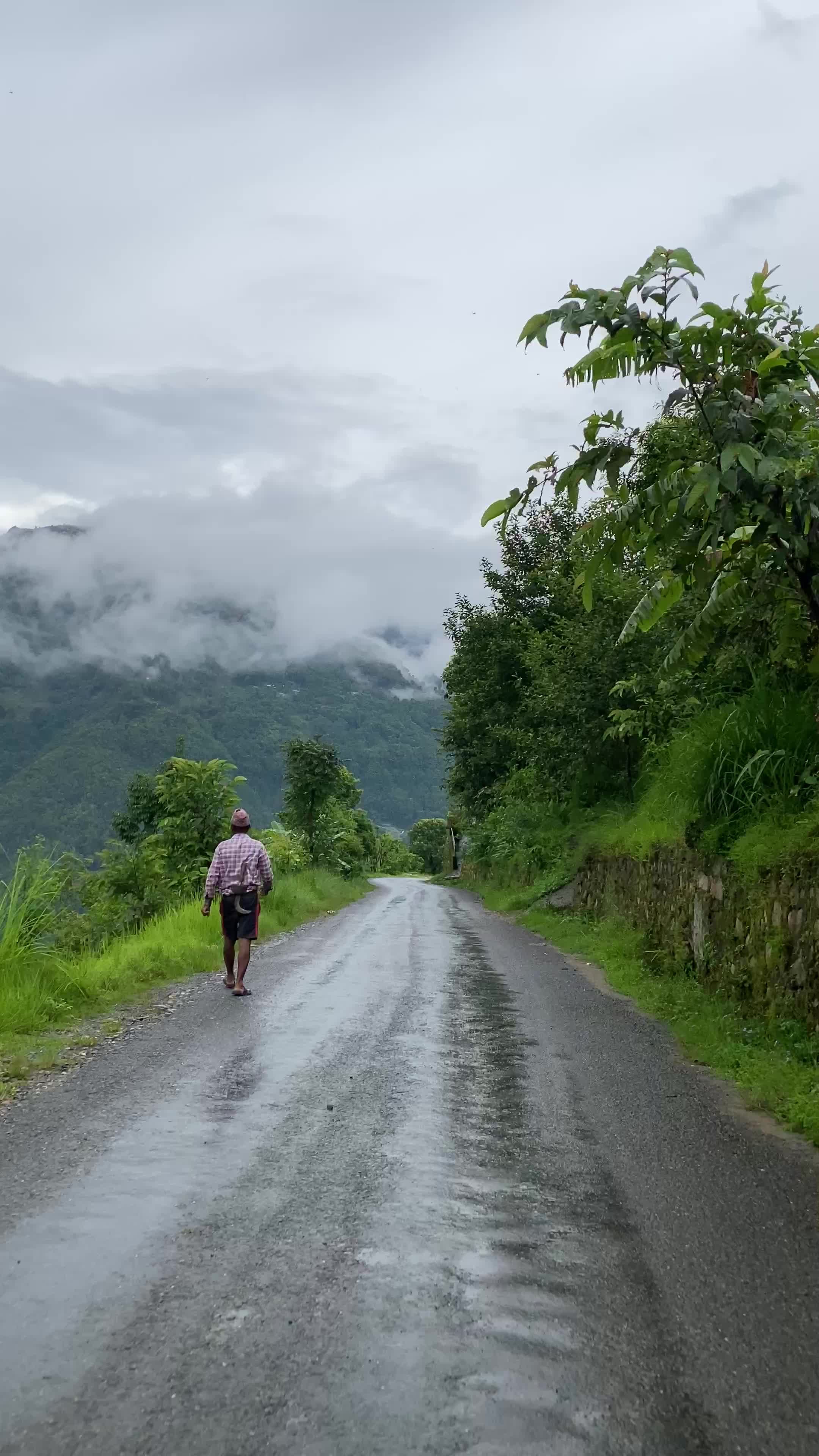 Scenic Rainy Road through Lush Greenery Free Stock Video Footage ...