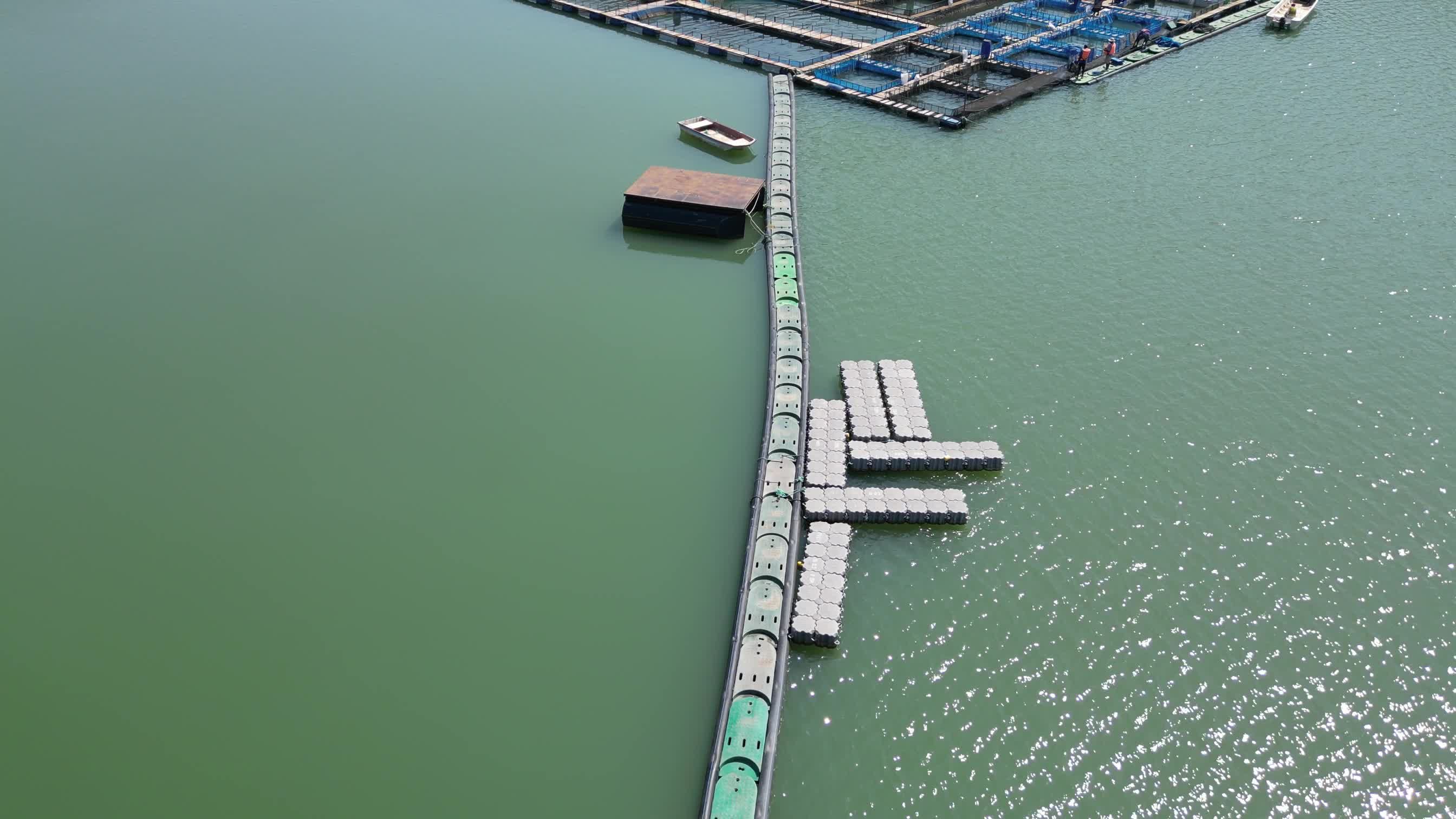 Fish Farm video