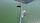 fish farming