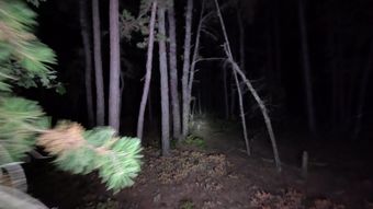 黑夜森林奔跑视频素材
