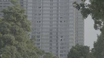 大楼背景视频视频素材视频素材视频素材