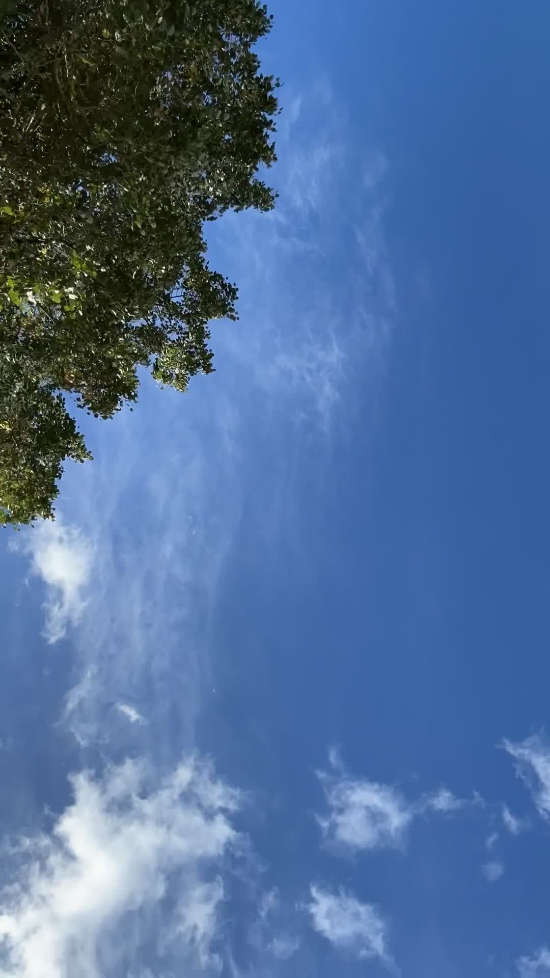 Video by Bav Vadgama