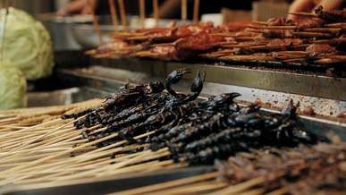 layers of insects on sticks in display for sale as street foods