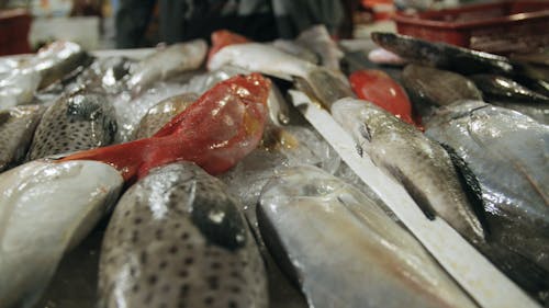 Productos De Pescado En Un Mercado Húmedo Para La Venta