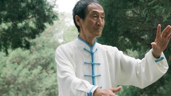 太极视频素材免费下载视频素材
