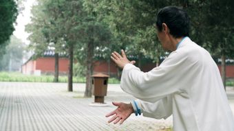 道士视频素材