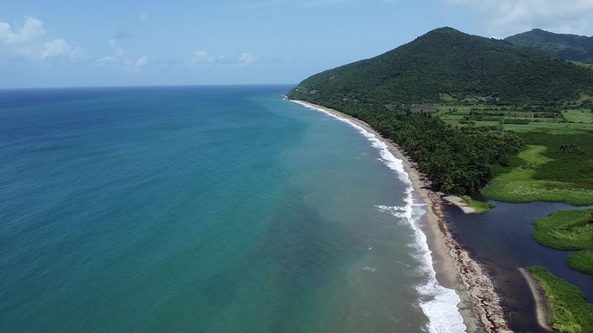 Drone Footage of a Beach Resort in the Caribbean Free Stock Video ...