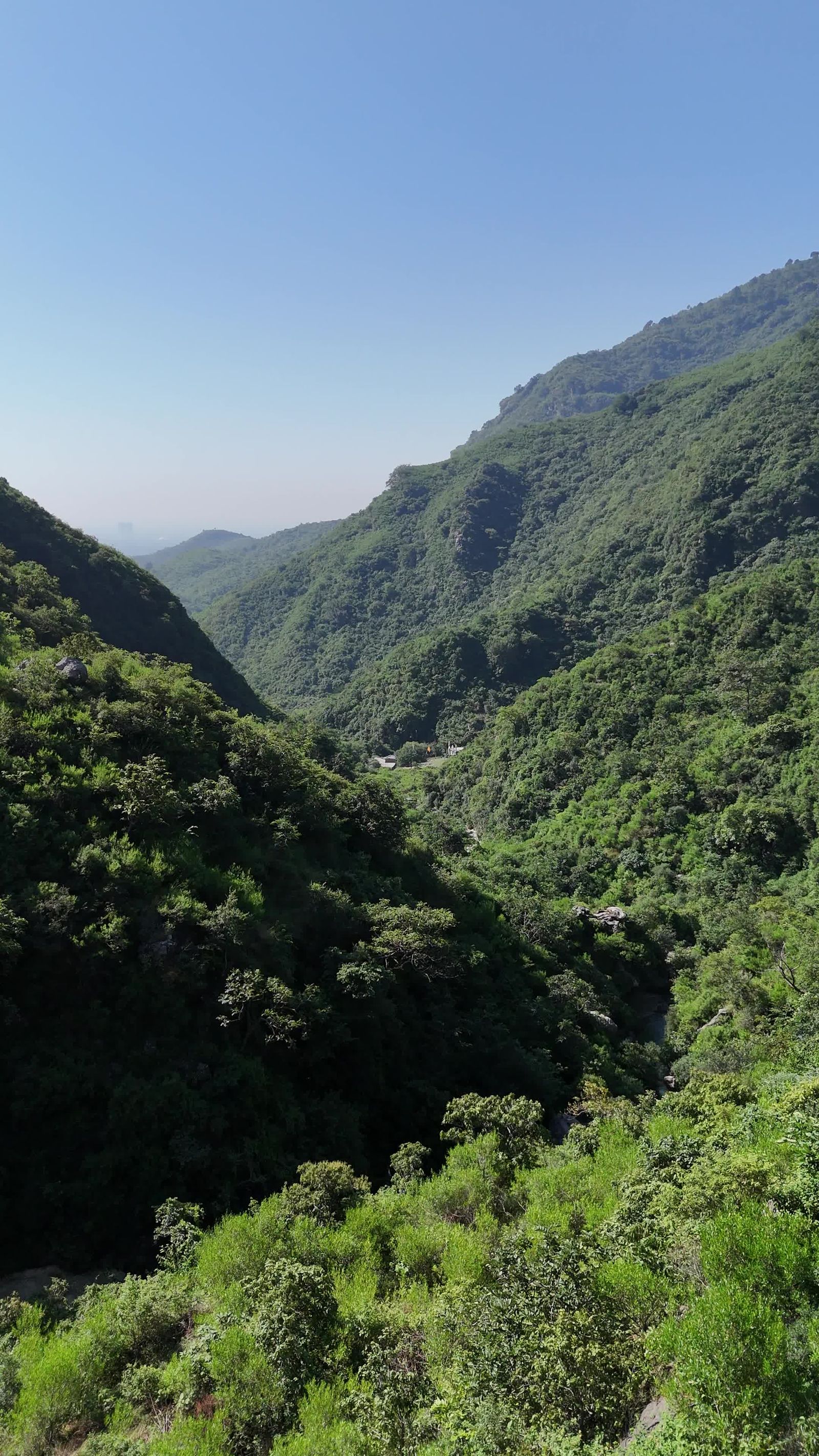 Drone Footage of Green Mountain Forest Free Stock Video Footage ...