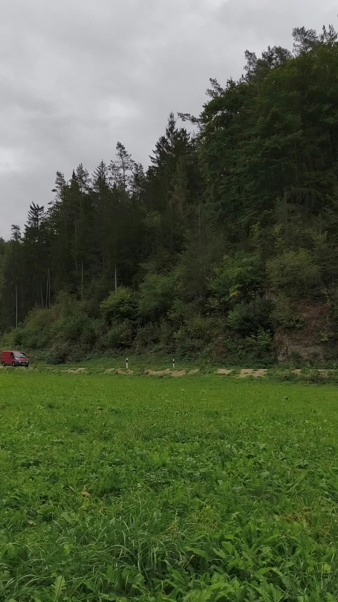 Video by Alyona Nagel