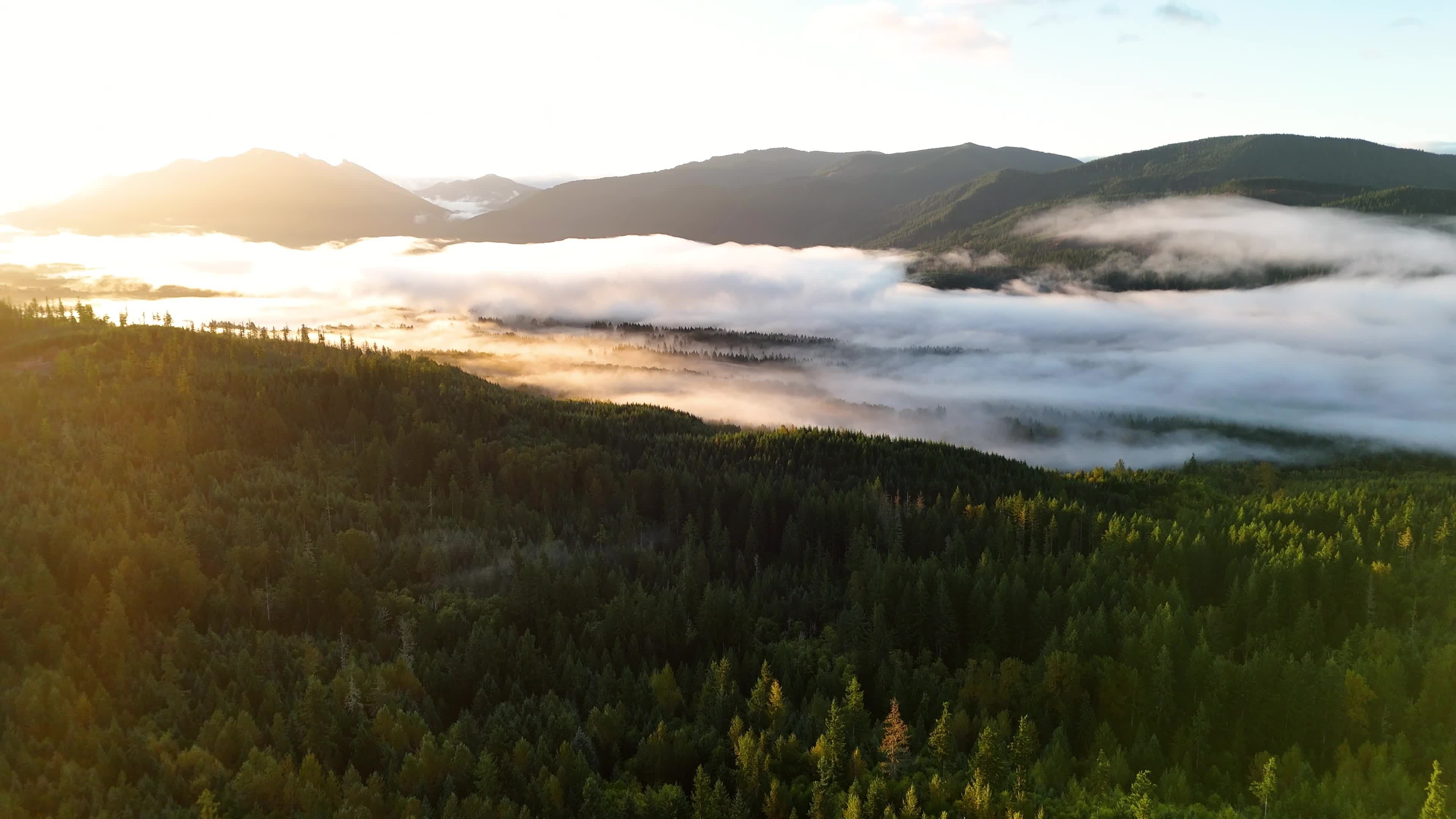 Sunrise Over Misty Forest Mountainscape Free Stock Video Footage ...