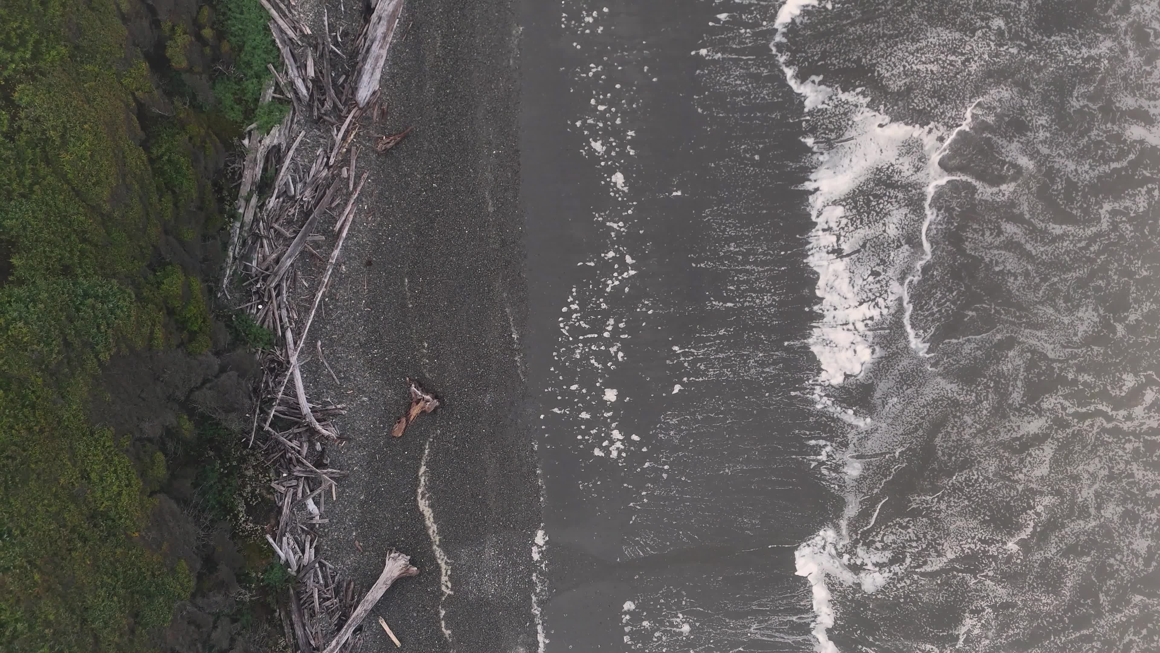 drone view of remote rocky beach with driftwood 28903362