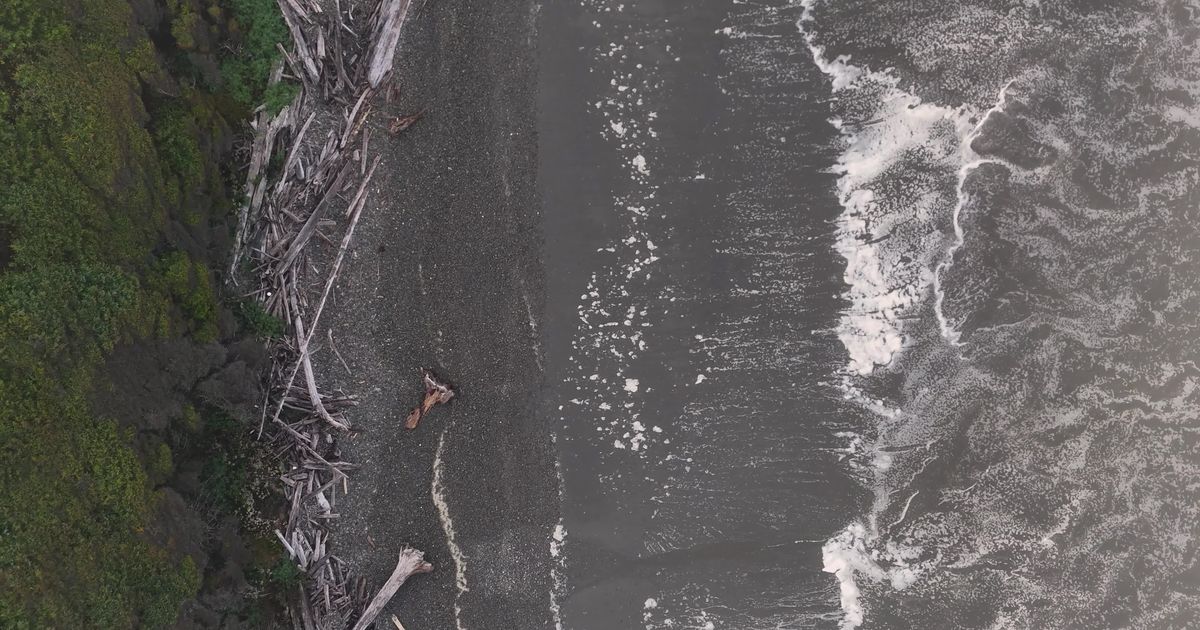 drone view of remote rocky beach with driftwood 28903362