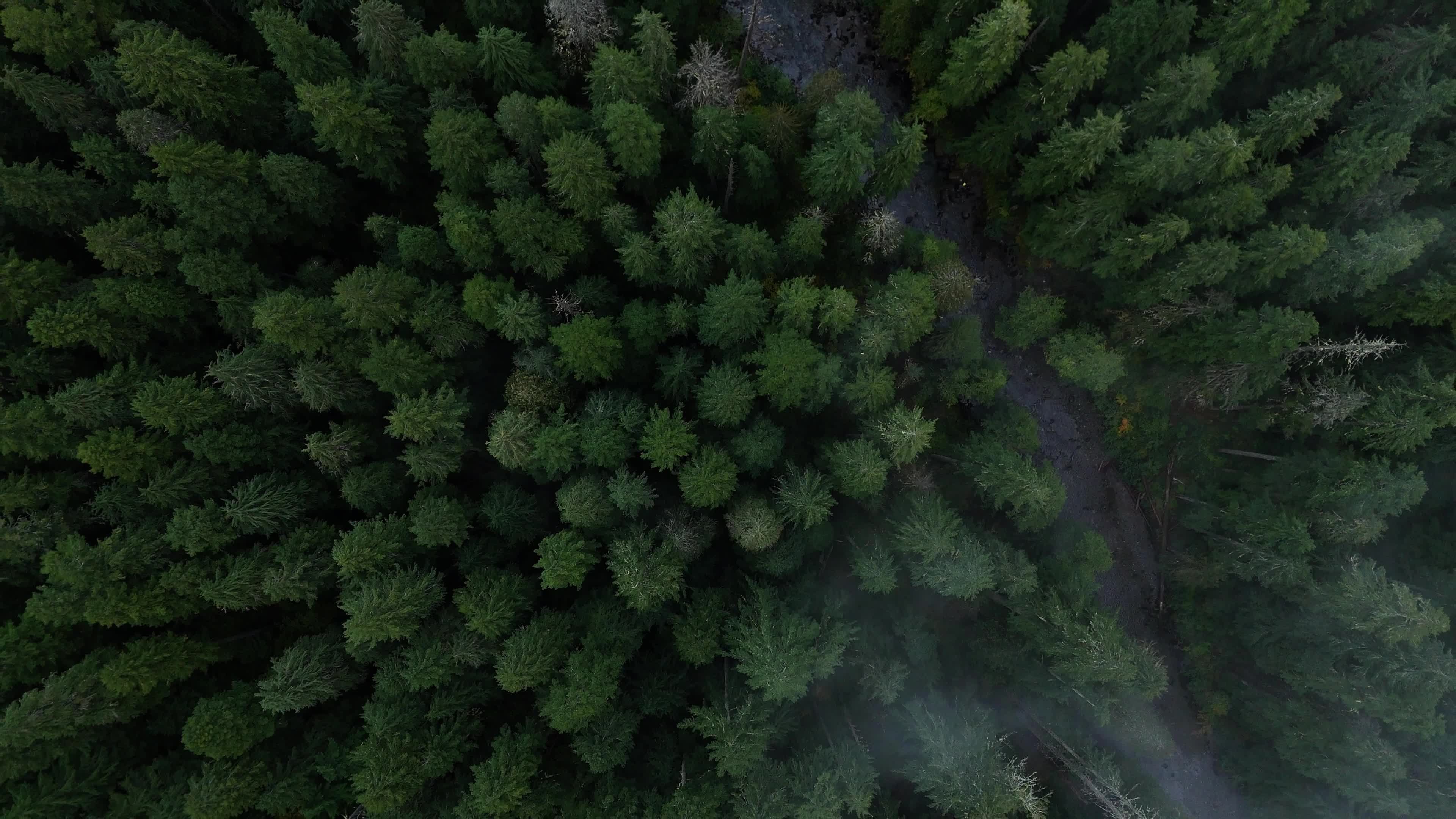 National Pacific Videos, Download The BEST Free 4k Stock Video Footage ...
