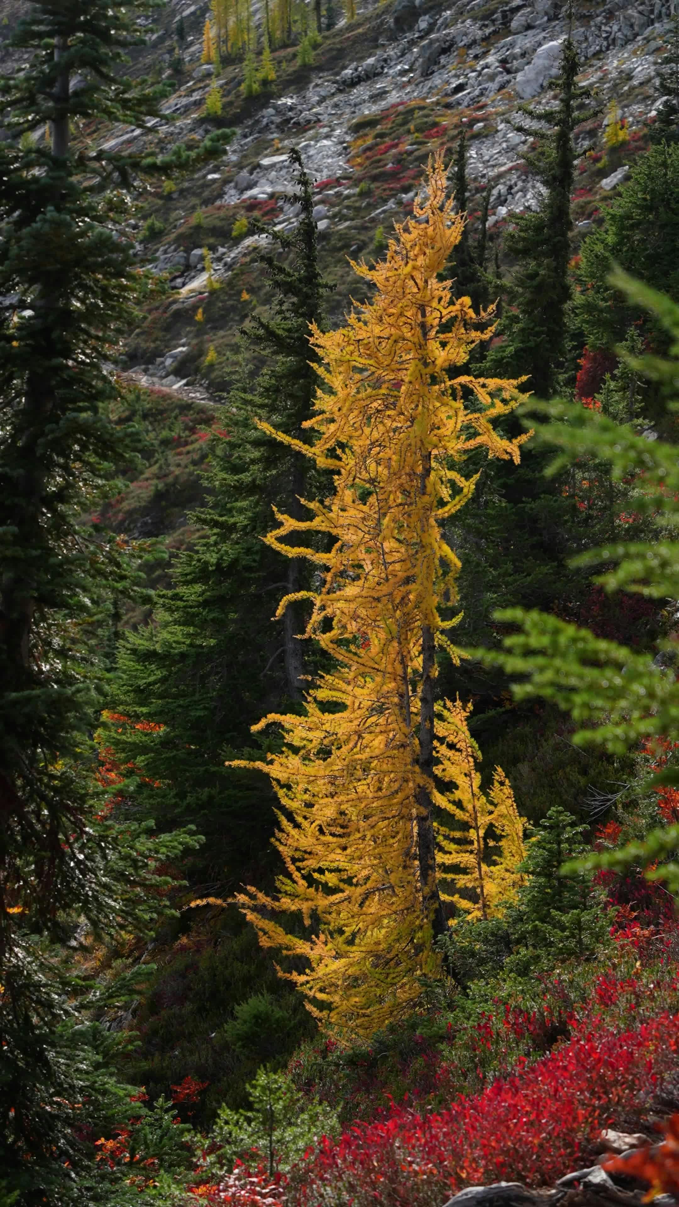 Video by Alex Moliski