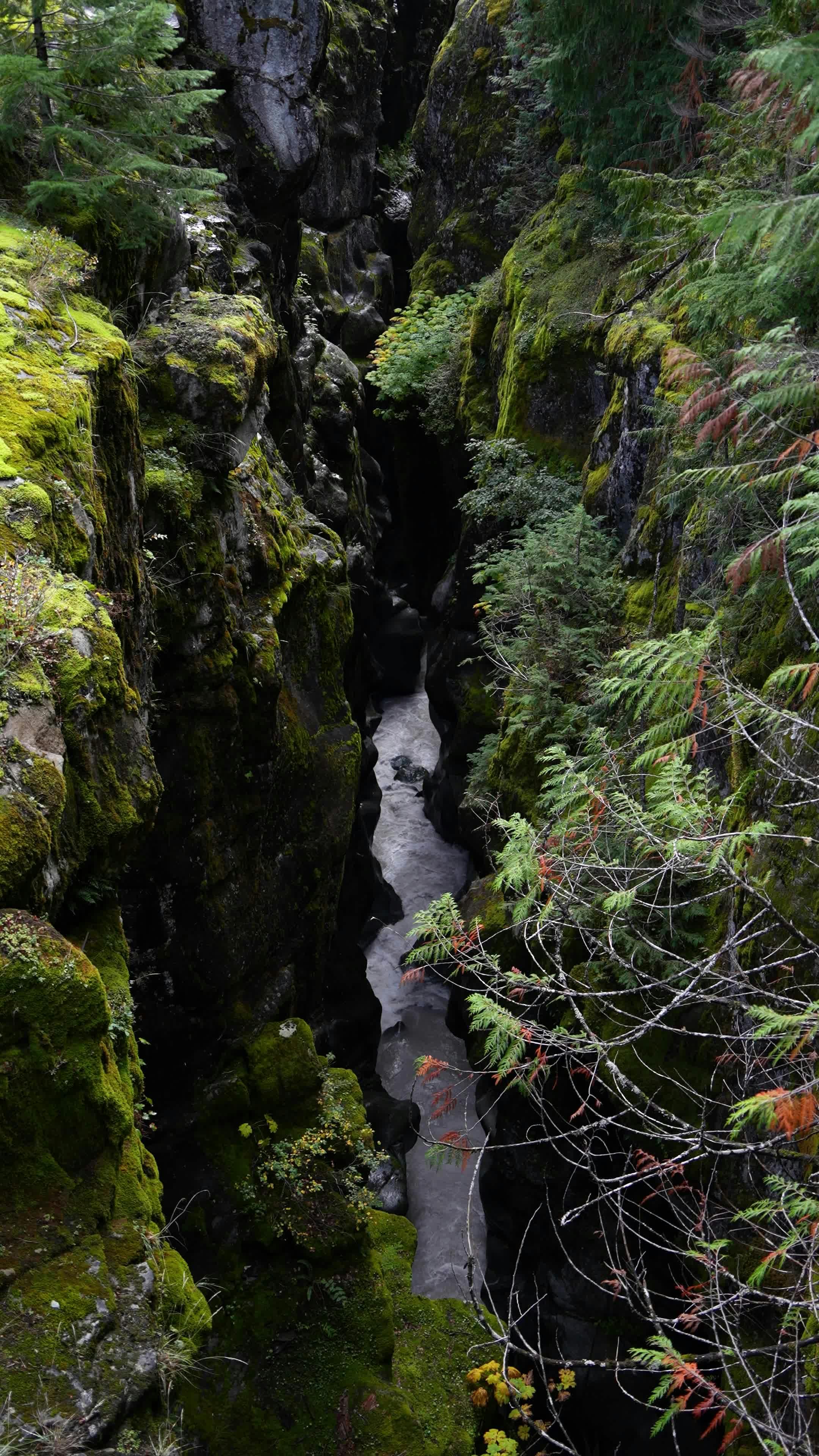 Video by Alex Moliski