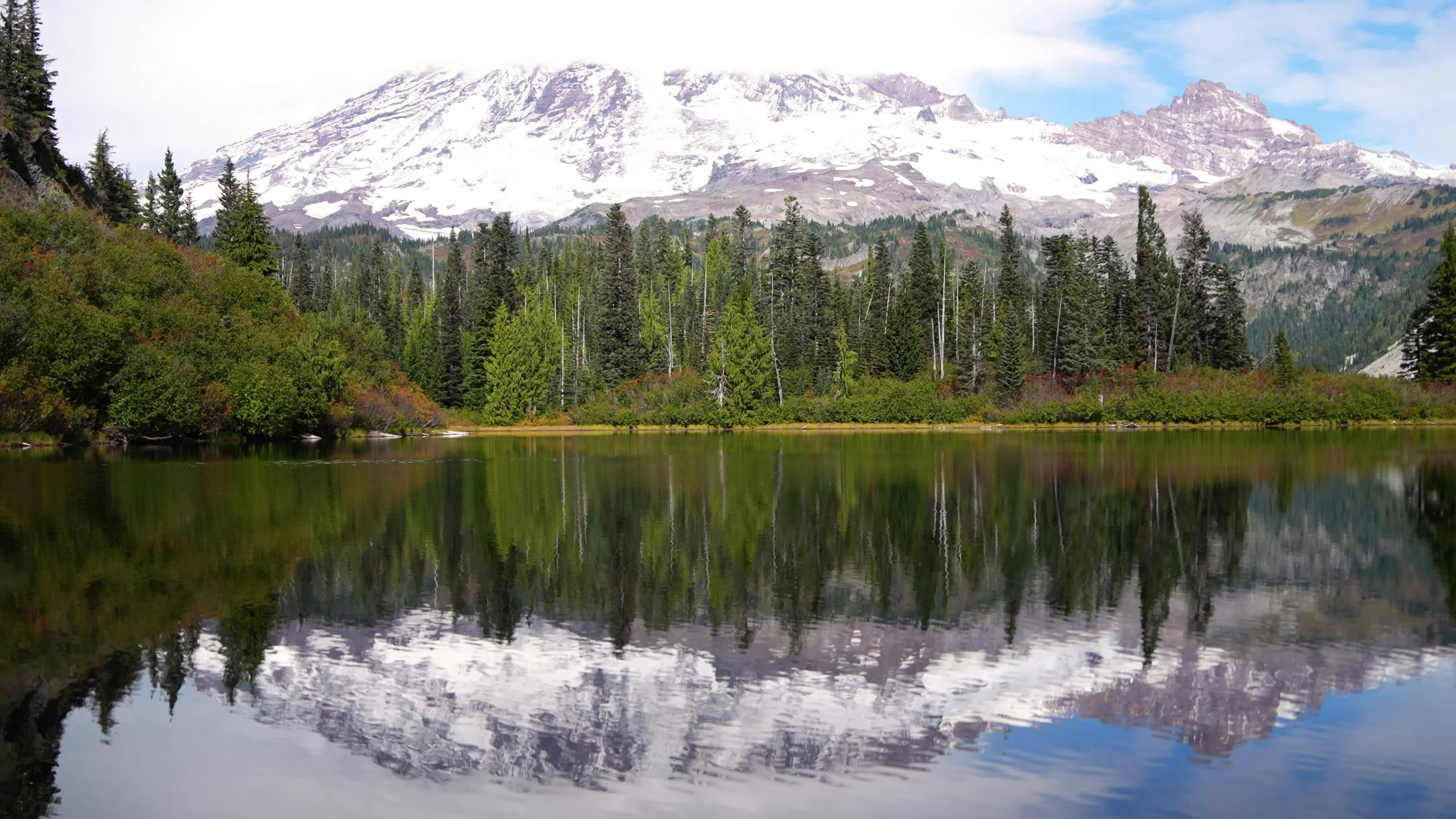 Video by Alex Moliski