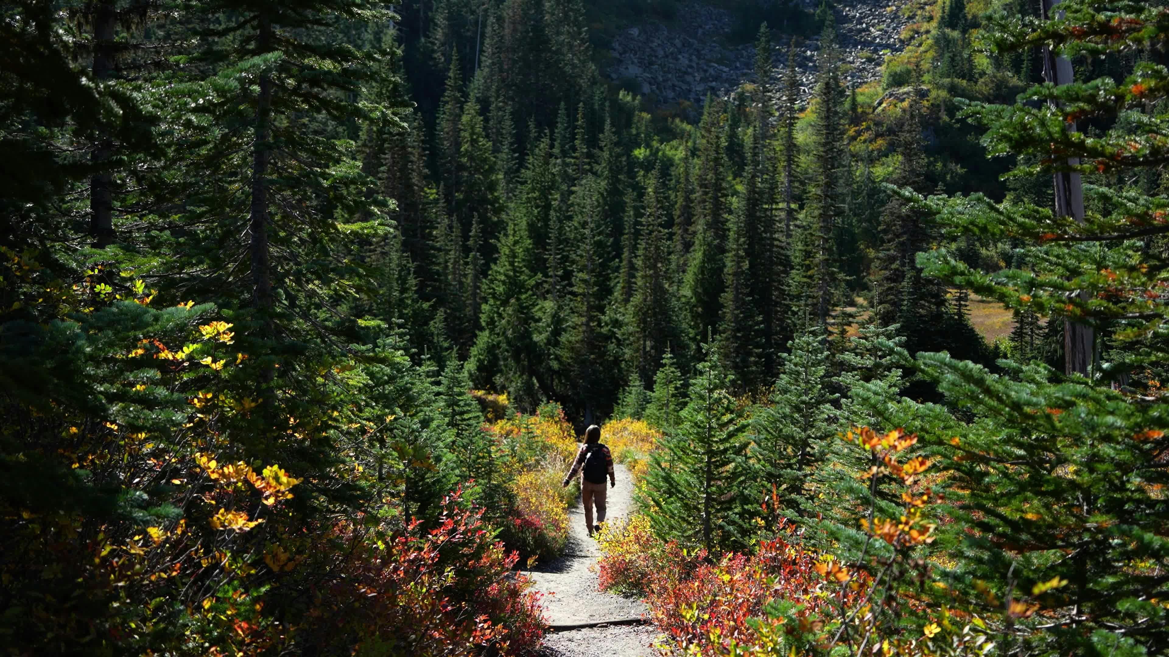 Video by Alex Moliski