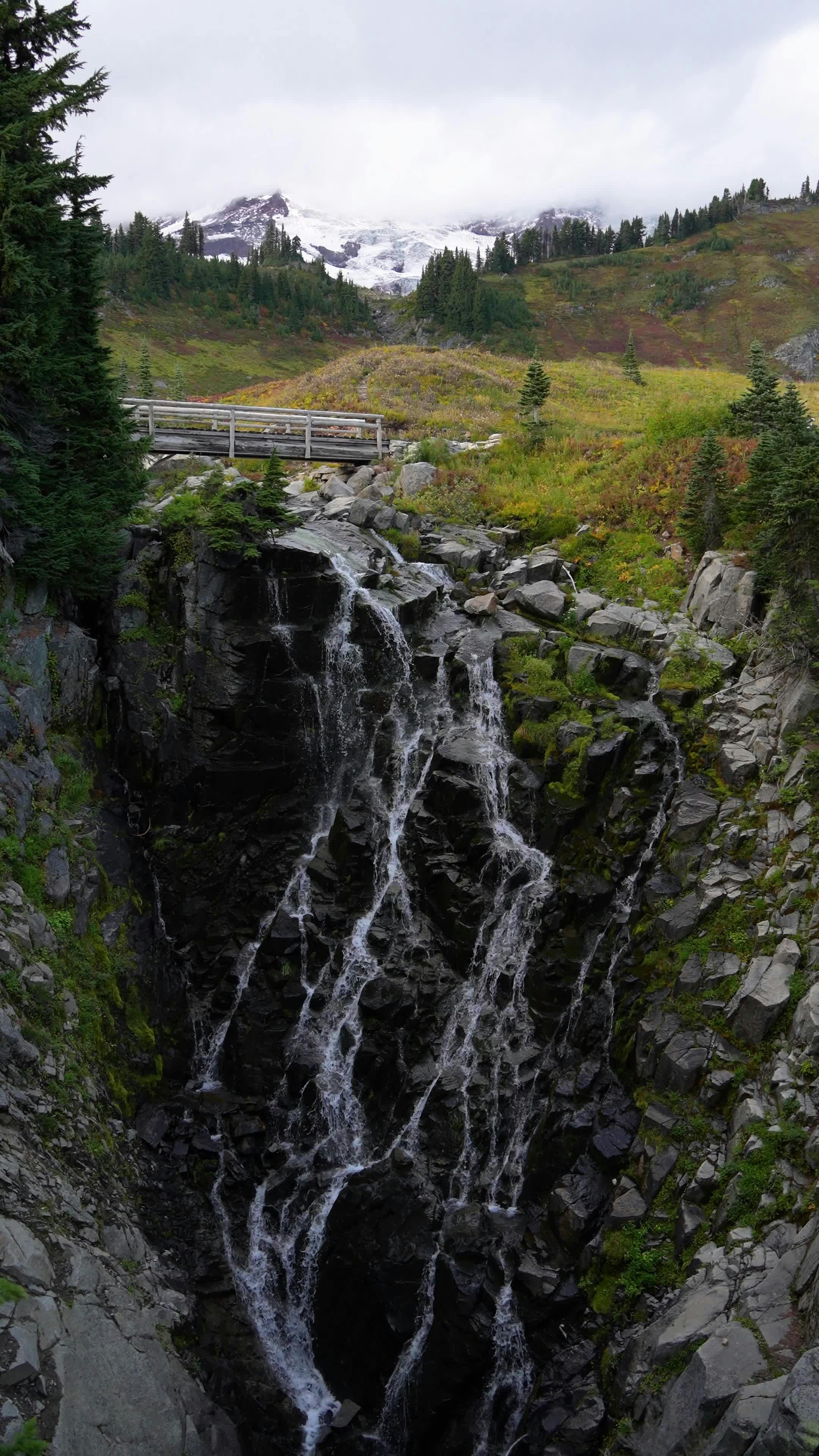 Video by Alex Moliski