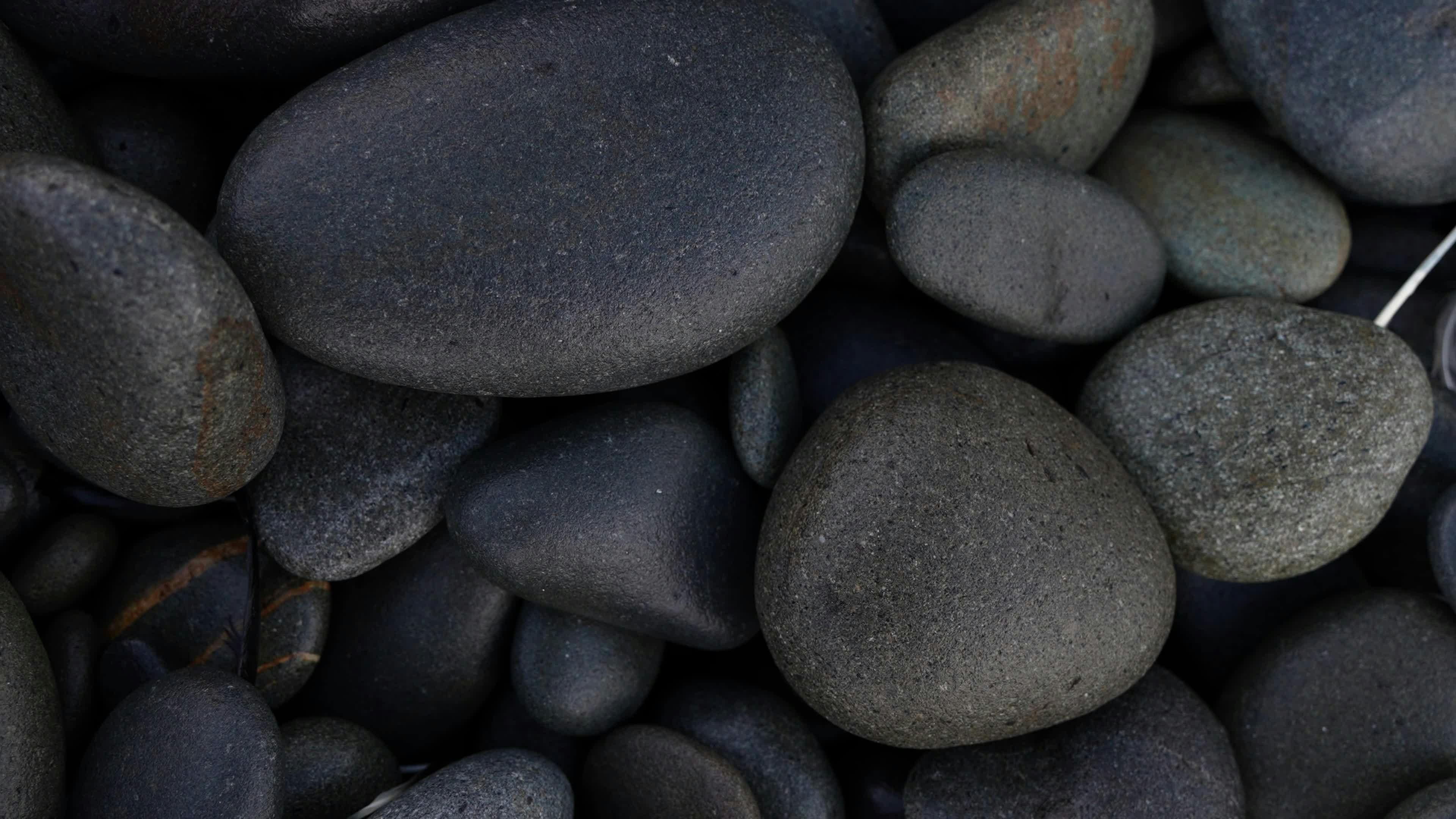 Video by Alex Moliski