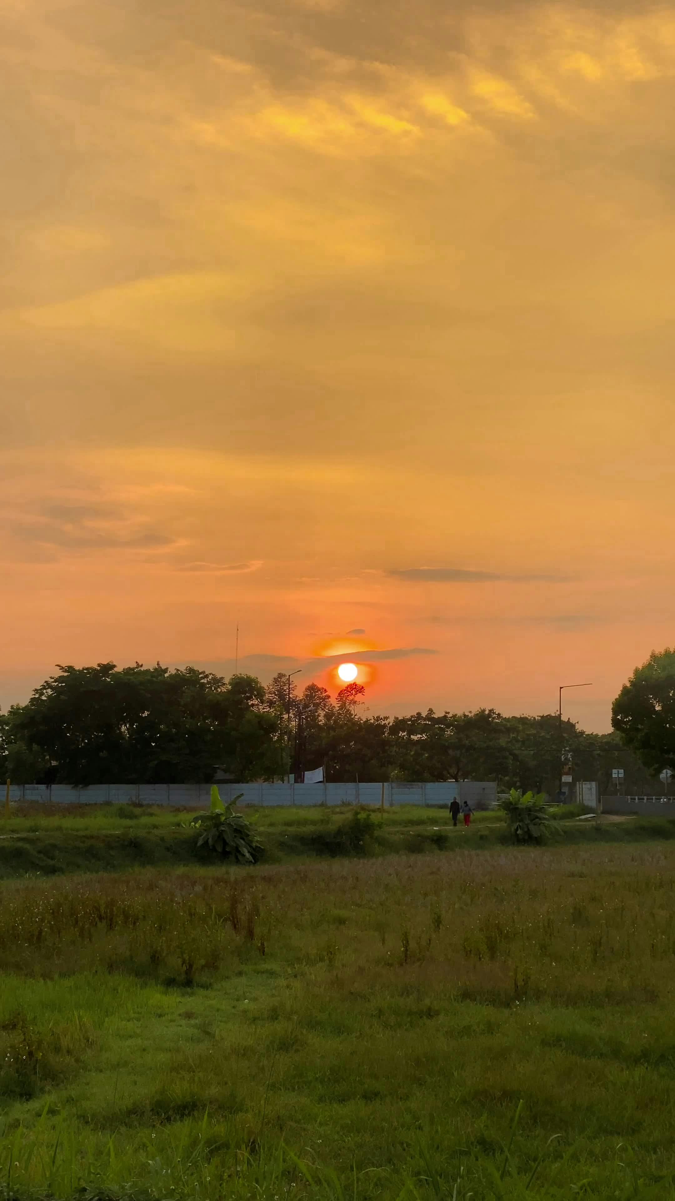 serene sunset over verdant landscape 28925348