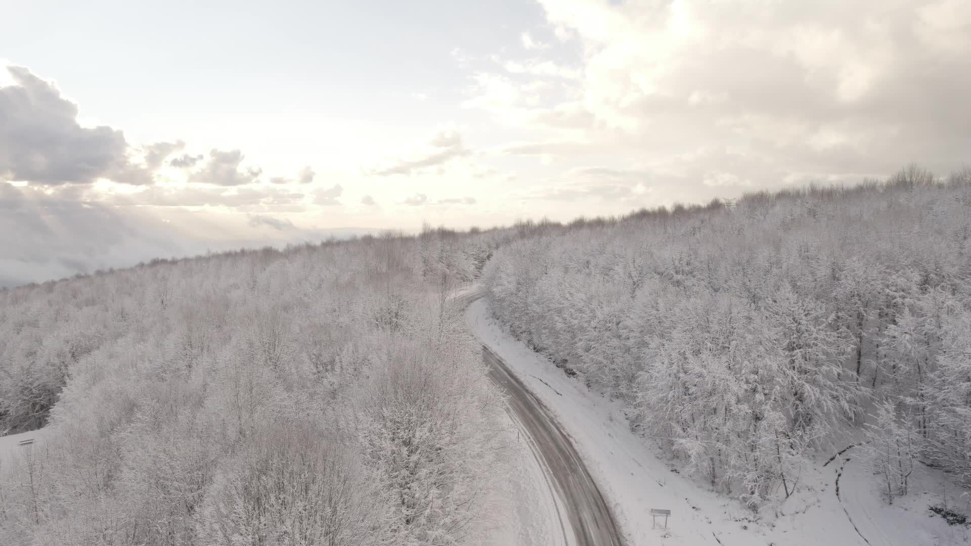 Stunning Aerial View of Snowy Winter Forest Free Stock Video Footage ...