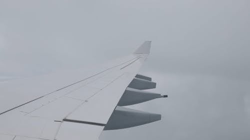 The Flops On The Wing Of An Airplane In Flight