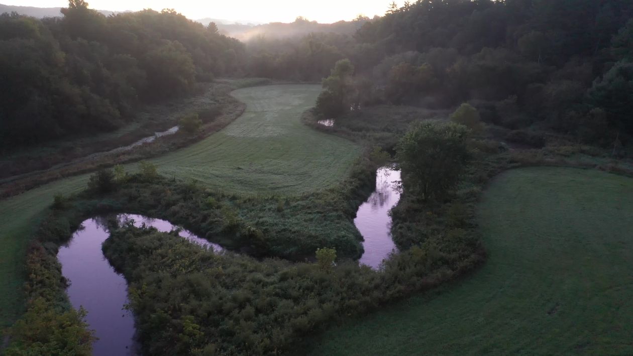 Serene Aerial View of Lush Green Landscape Free Stock Video Footage ...
