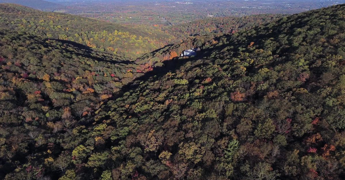 Autumn Aerial View of Black Rock Forest Free Stock Video Footage ...