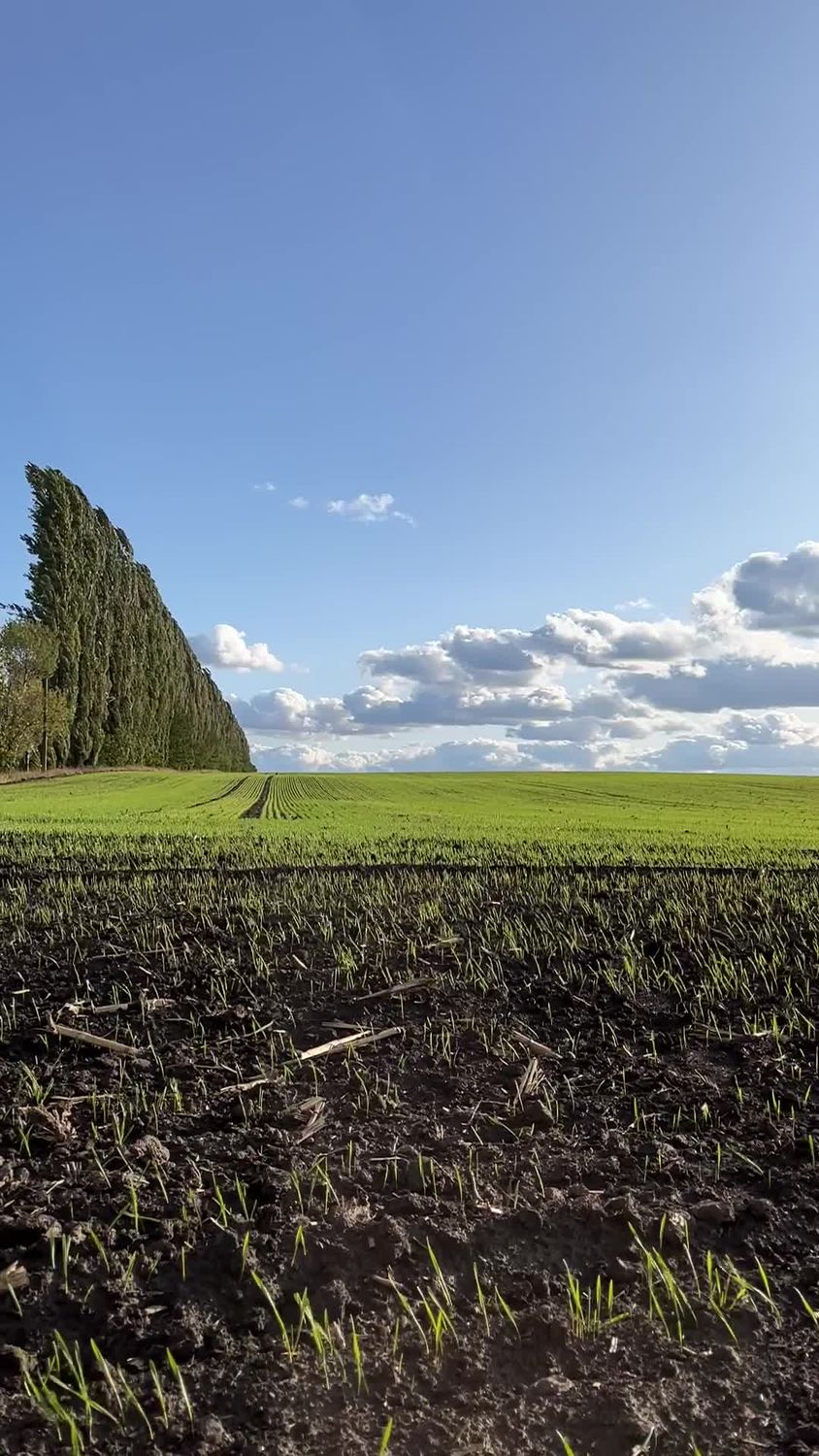 Scenic Green Field Under Clear Blue Sky Free Stock Video Footage ...