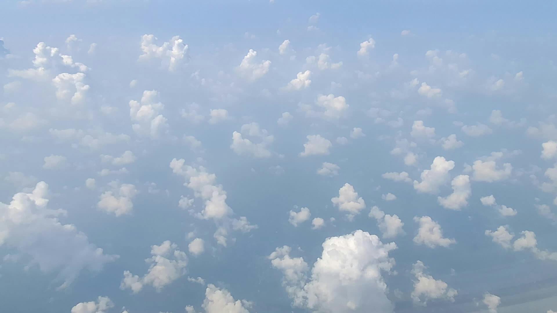 Video by One Trillion Views