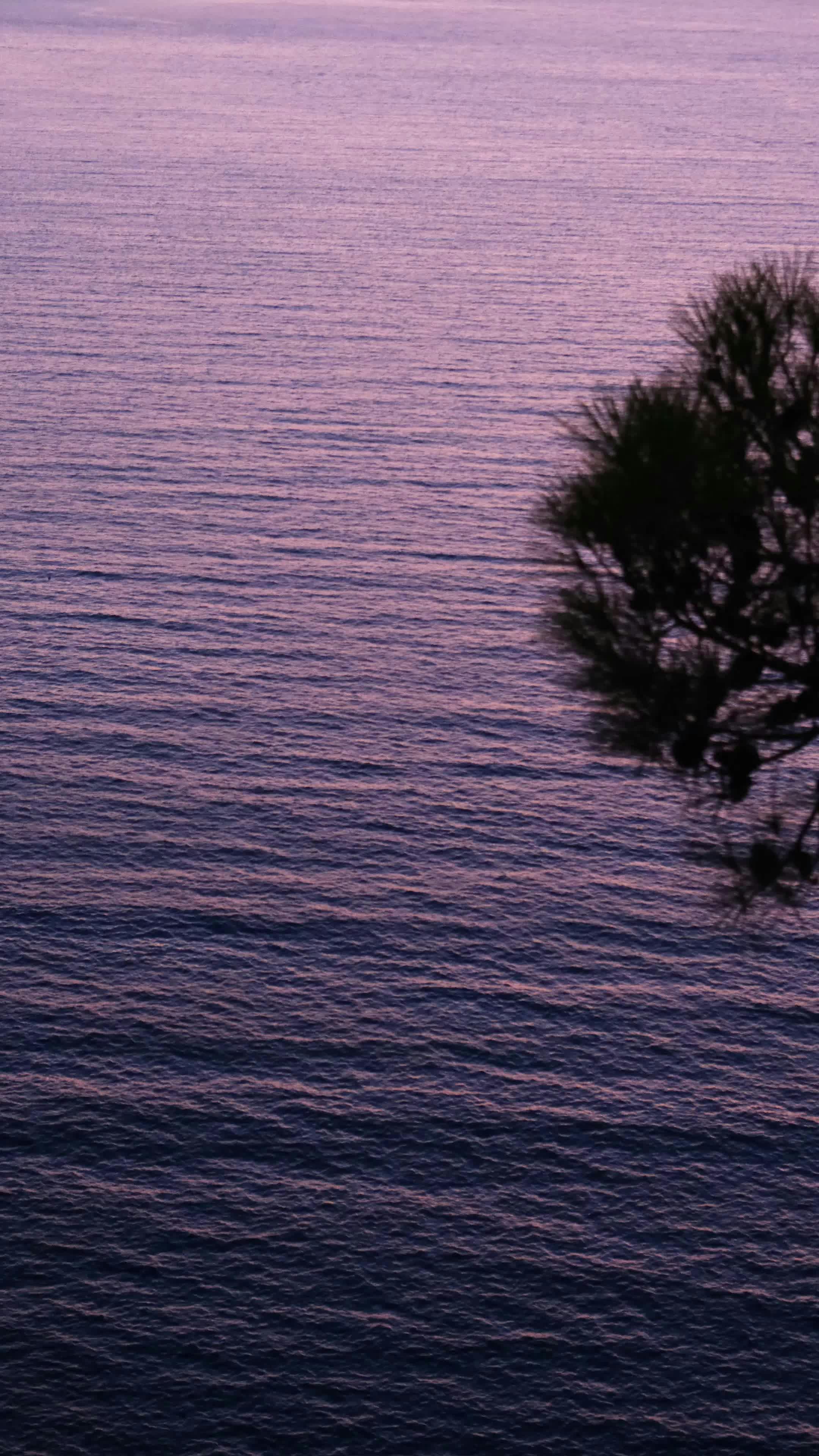 Video by Ahmet Enes Yetgin