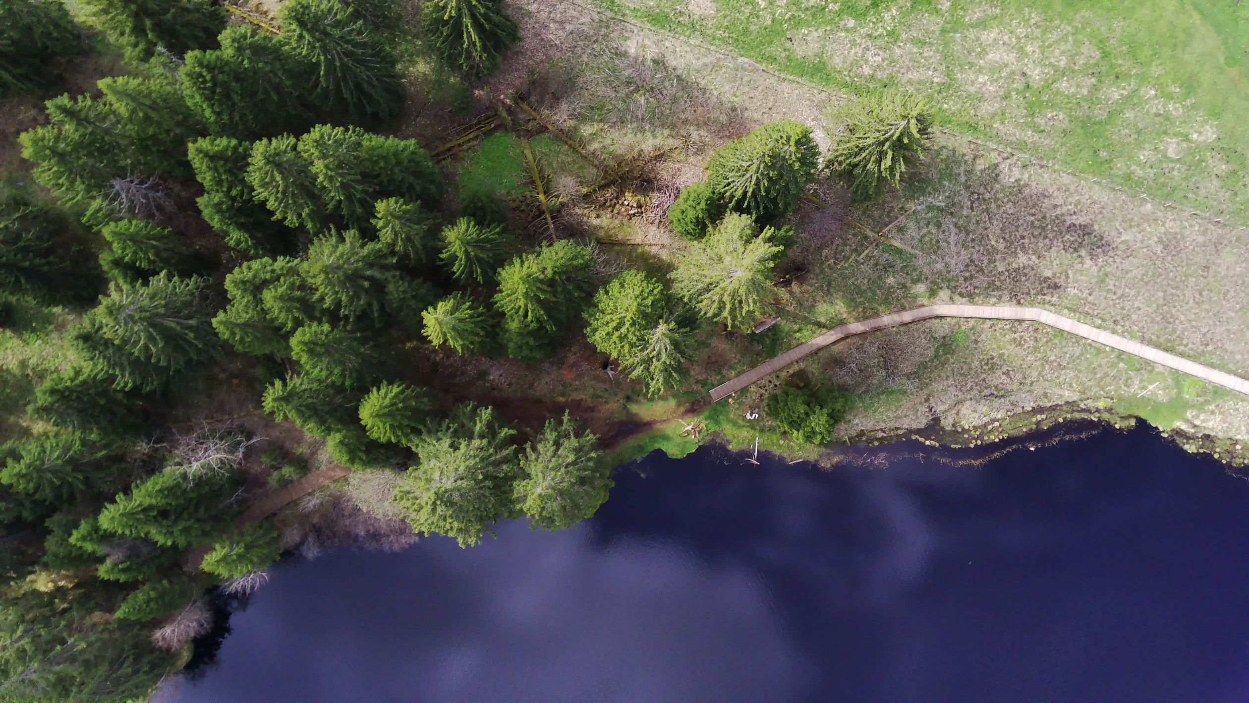 Aerial View of Serene Forest and Lake Landscape Free Stock Video ...