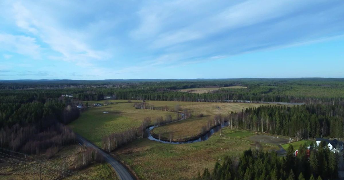 Landscape View Video Scenic Drone View of River and Forest Landscape Free Stock Video ...