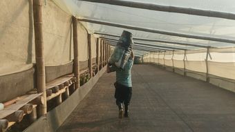 工人搬货视频素材