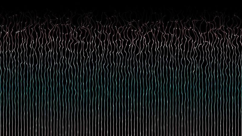 Dynamic Moving Field Dynamic Moving Pattern Abstract Background Free Stock Video Footage ...