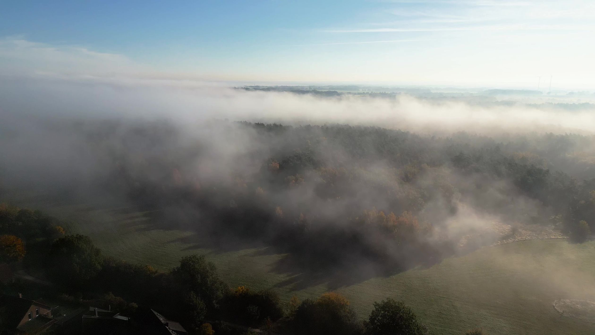 Misty Morning Drone View of Foggy Forest Free Stock Video Footage ...