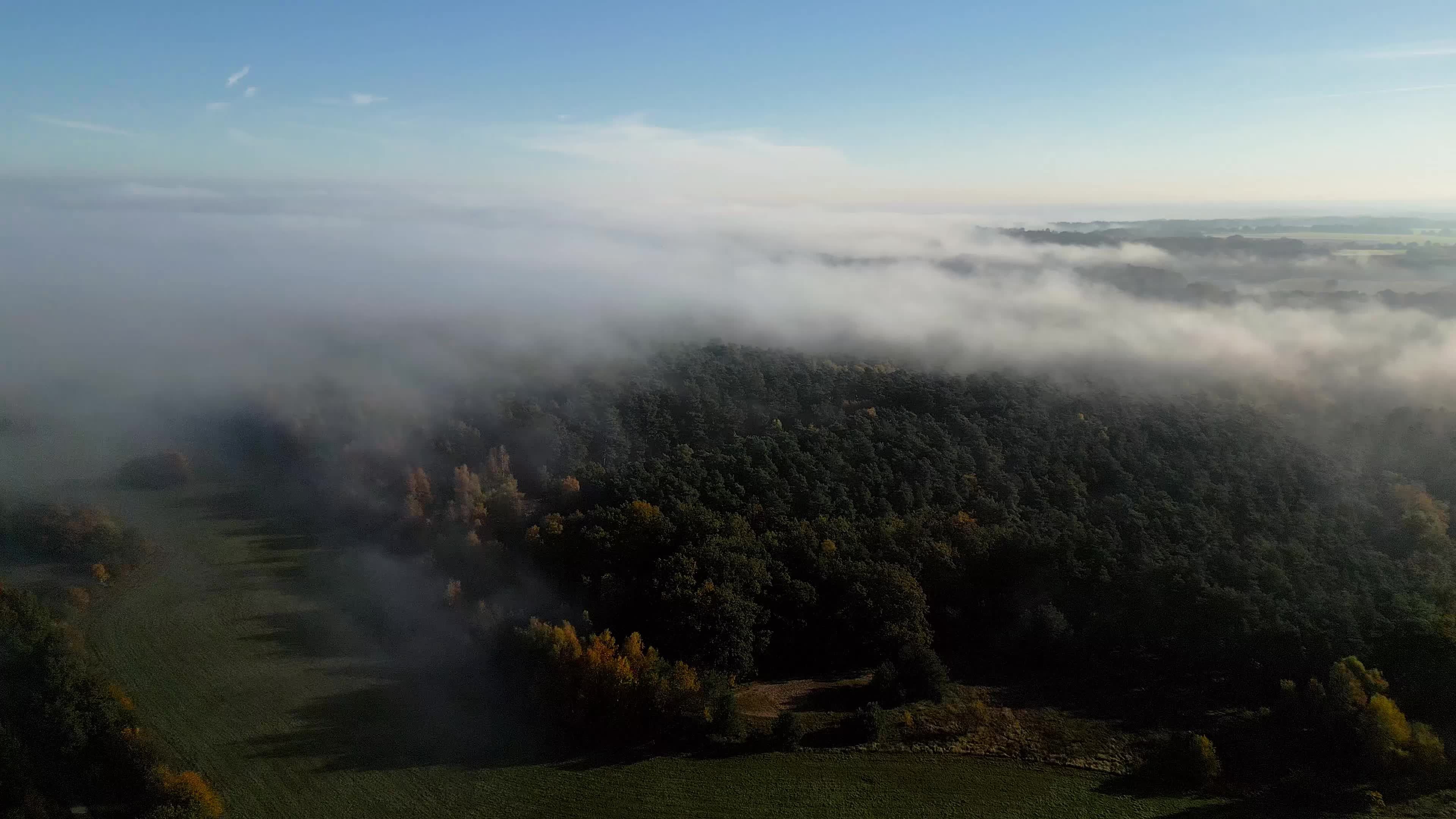 Aerial View of Misty Autumn Forest Free Stock Video Footage, Royalty ...