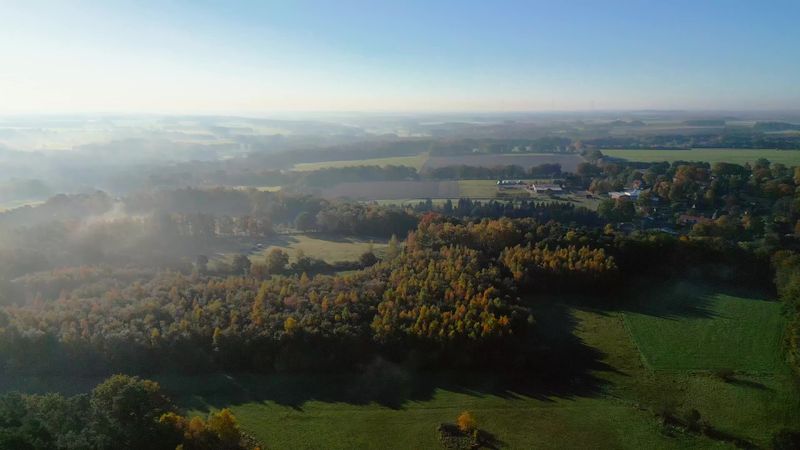 Scenic Aerial View of Autumn Forest Sunrise Free Stock Video Footage ...