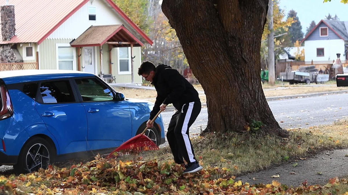 Man Raking Autumn Leaves on Suburban Street Free Stock Video Footage ...