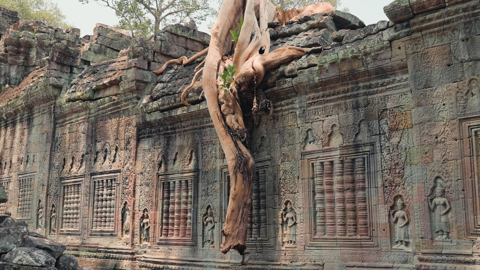 Angkor Wat In Cambodia Videos, Download The BEST Free 4k Stock Video ...