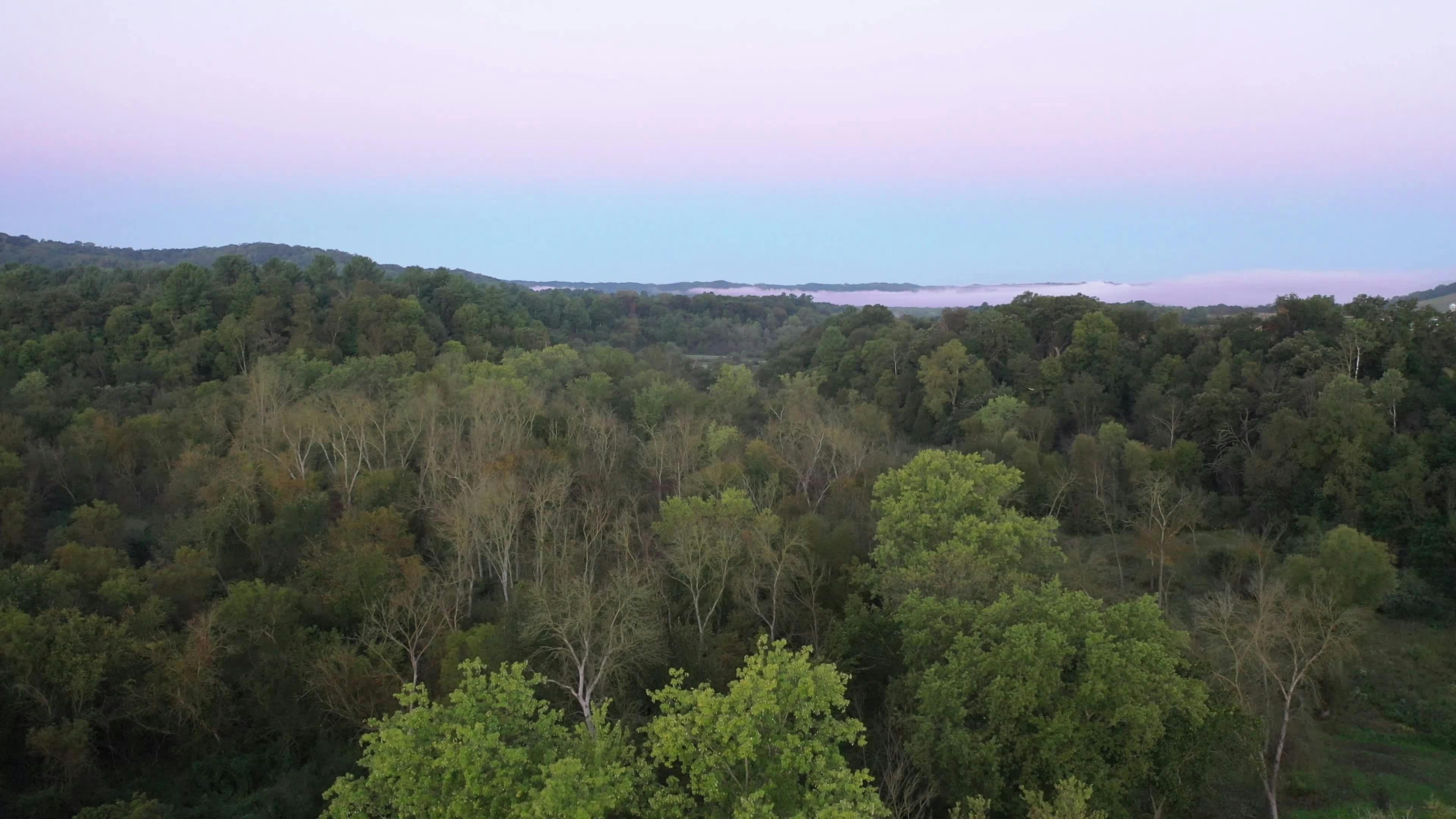 Video by Tom Fisk