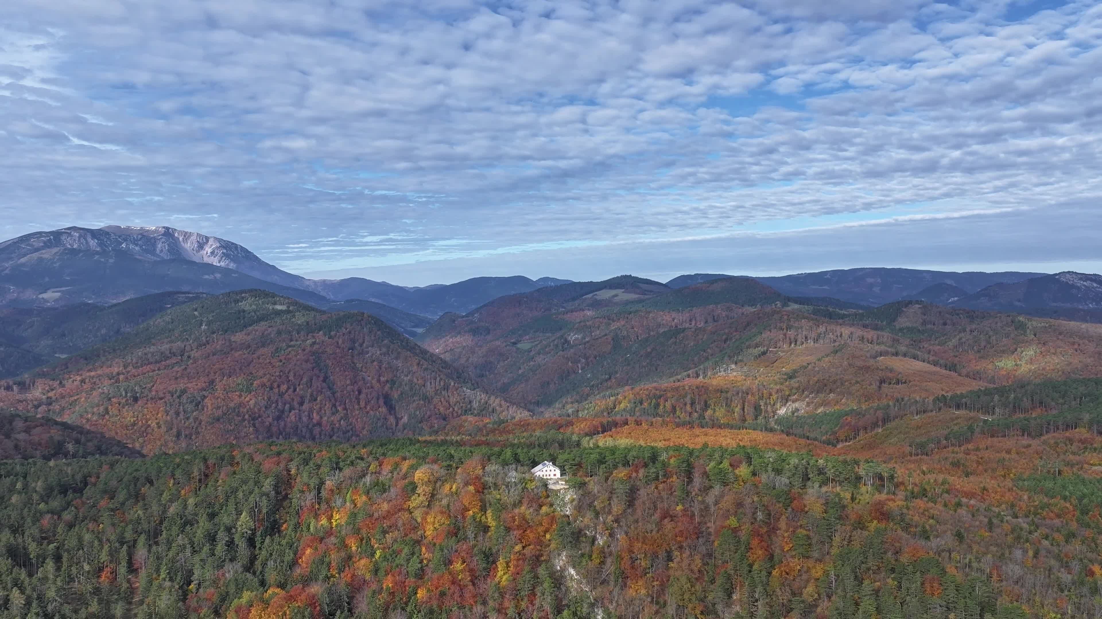 Stunning Aerial View of Vibrant Autumn Forest Free Stock Video Footage ...