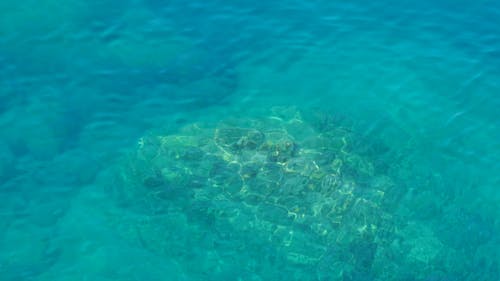 Movimiento En La Superficie Del Agua