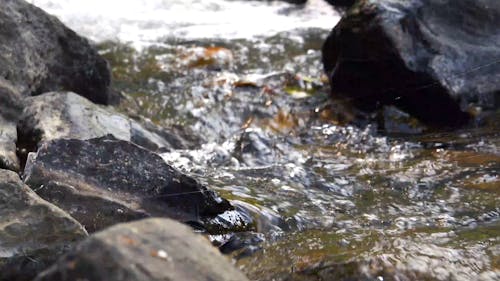 L'eau De La Rivière Ruisselant Sur Les Rochers