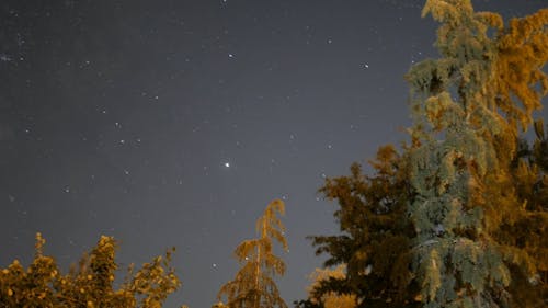 澄んだ夜の空の上の星