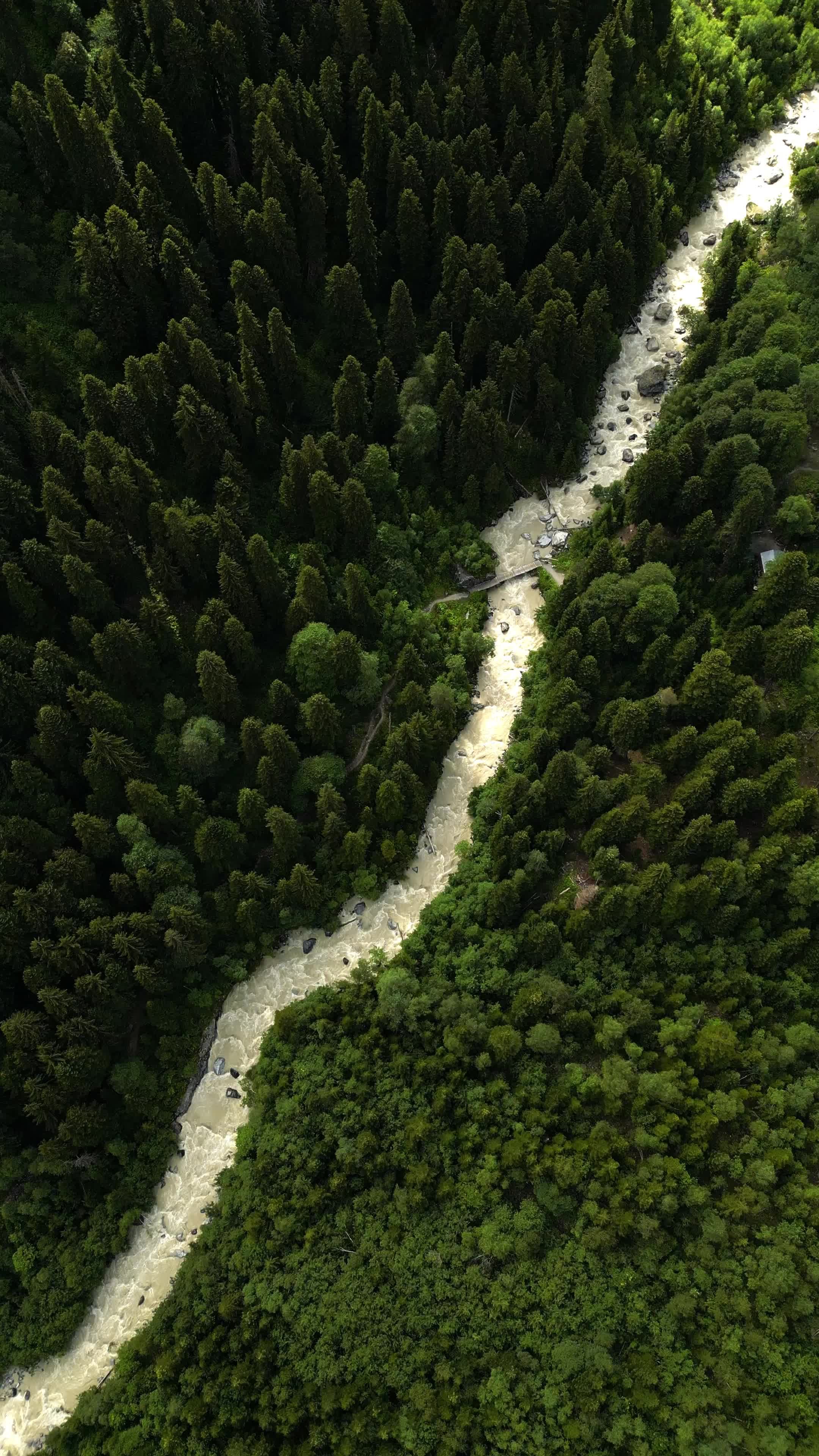Aerial View of Serene Forest River Flow Free Stock Video Footage ...