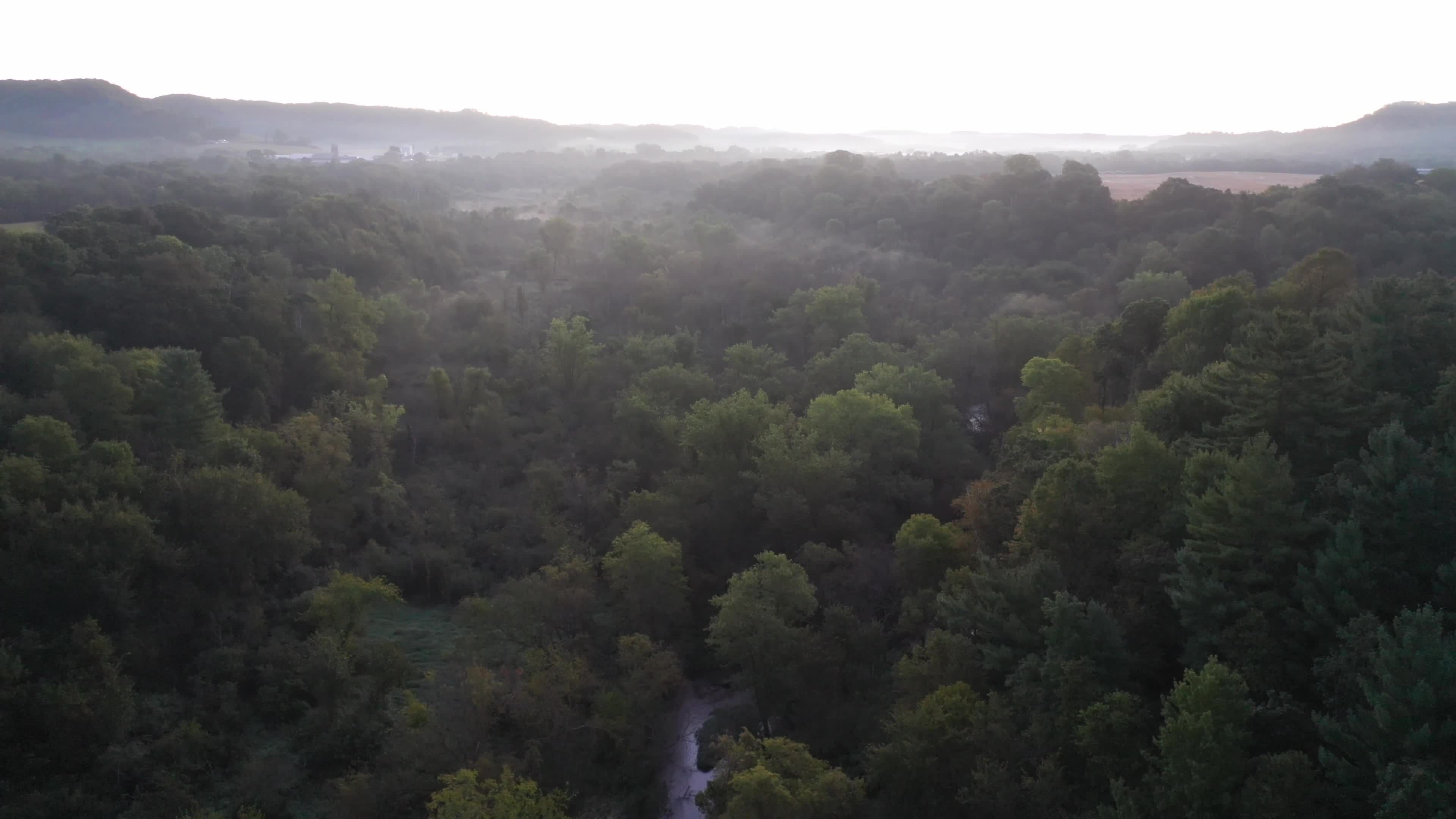 Video by Tom Fisk
