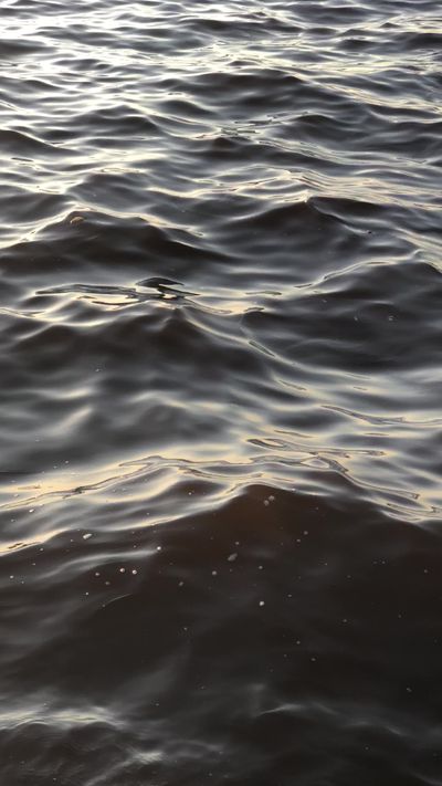 Zeynep's ocean waves sunset video