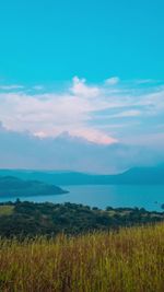 Nature Wallpaper Videos, Download The BEST Free 4k Stock Video Footage ...